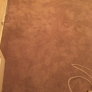 Photo of Carpet Cleaning Jersey City