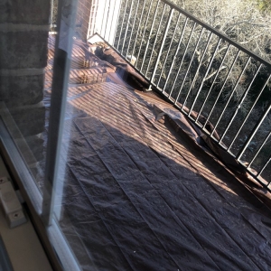 Photo of Pristine Construction