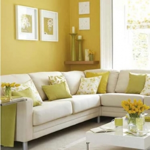 Photo of Carpet Care 2000