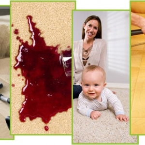 Photo of Carpet Care 2000