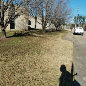 Photo of Hector Lawn Care