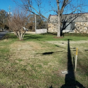 Photo of Hector Lawn Care