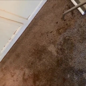 Photo of Best Deal Steam Carpet Cleaning of Katy