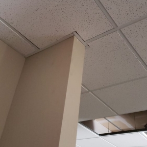 Photo of Polo Drywall