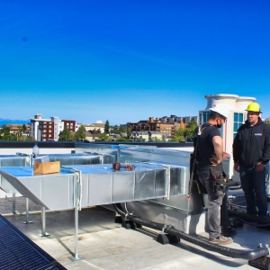 Photo of Bluesky Electrical Contracting & Design
