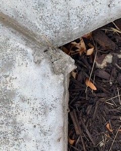 Photo of Mattingly Concrete