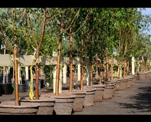 Photo of H & R Landscaping