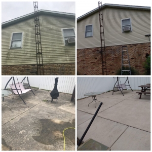Springfield Troy Davis Service Pros