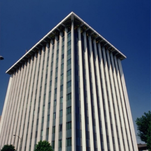 Photo of Golbahar Consulting