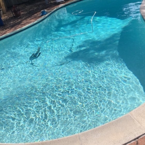 Houston Chosen One Pool Service