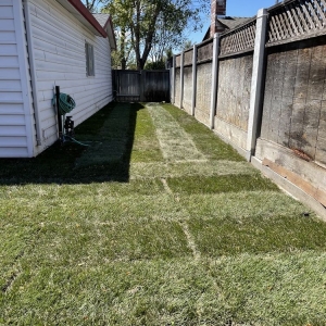 Photo of JP Landscaping