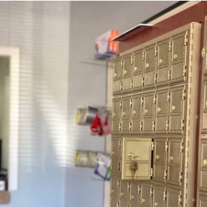 San Diego Picador Postal Services