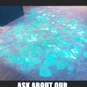 Photo of Spotless Floor Care