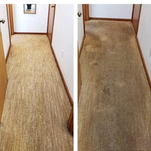 Photo of Spotless Floor Care