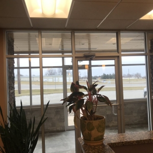Photo of Ameriglass Cleaning