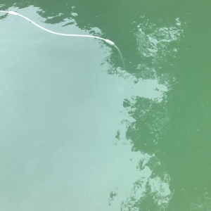 Photo of Pinnacle Pool Service