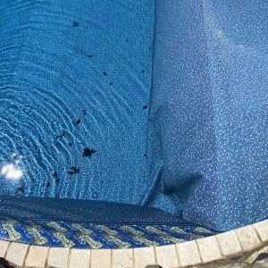 Photo of Brown's Pools and Spas