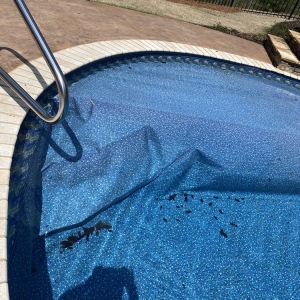 Photo of Brown's Pools and Spas