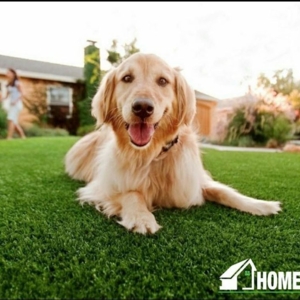 Photo of HomeTurf Synthetic Grass