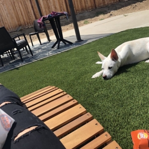 Photo of HomeTurf Synthetic Grass