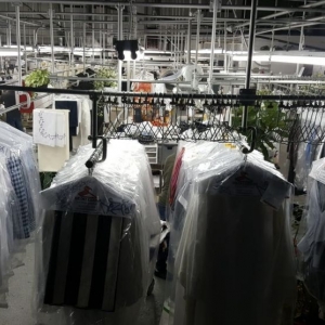 Photo of The Dry Cleaner