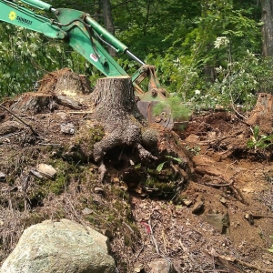 Photo of Infiniti Creative Landscape Design