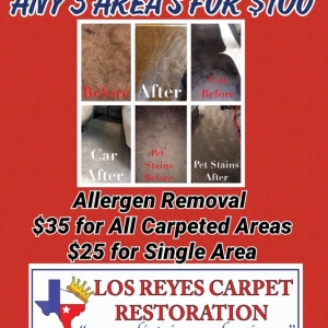 Austin Los Reyes Carpet Restoration