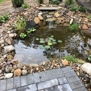 Photo of Blue Fox Landscape Design