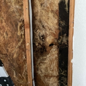 Photo of Storm Roofing