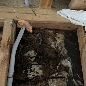 Photo of Storm Roofing