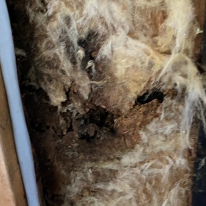 Photo of Storm Roofing