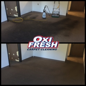 Photo of Oxi Fresh Carpet Cleaning