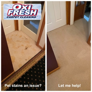 Photo of Oxi Fresh Carpet Cleaning