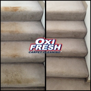 Photo of Oxi Fresh Carpet Cleaning