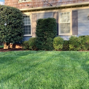 Photo of Miles Landscaping & Lawn Care