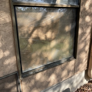 Photo of lee-z-glass