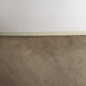 Photo of Lily's Correct Carpet and Oriental Rug Cleaning