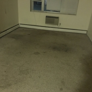 Photo of Lily's Correct Carpet and Oriental Rug Cleaning