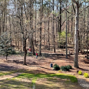 Photo of LTRC-Tree Specialists
