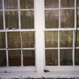 Photo of Speedy Glass Services