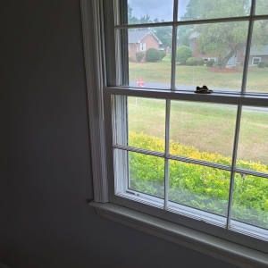Photo of Speedy Glass Services