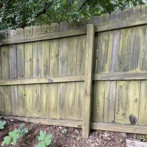 Photo of Bravo Fence