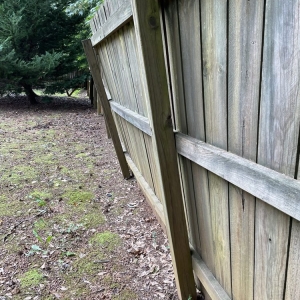 Photo of Bravo Fence