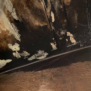 Photo of Restore Honor Restoration And Plumbing