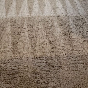 Photo of Carpet Pro