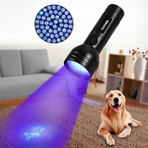 Photo of Carpet Pro