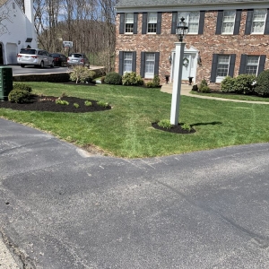 Lawrence Ortiz Rodas Landscaping