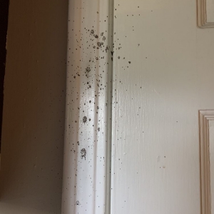Photo of Mark Allen Plumbing & Heating