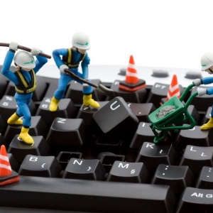 Photo of Cat Computers