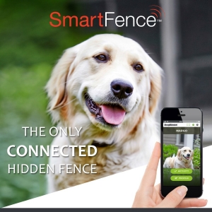 Photo of DogWatch Hidden Fence